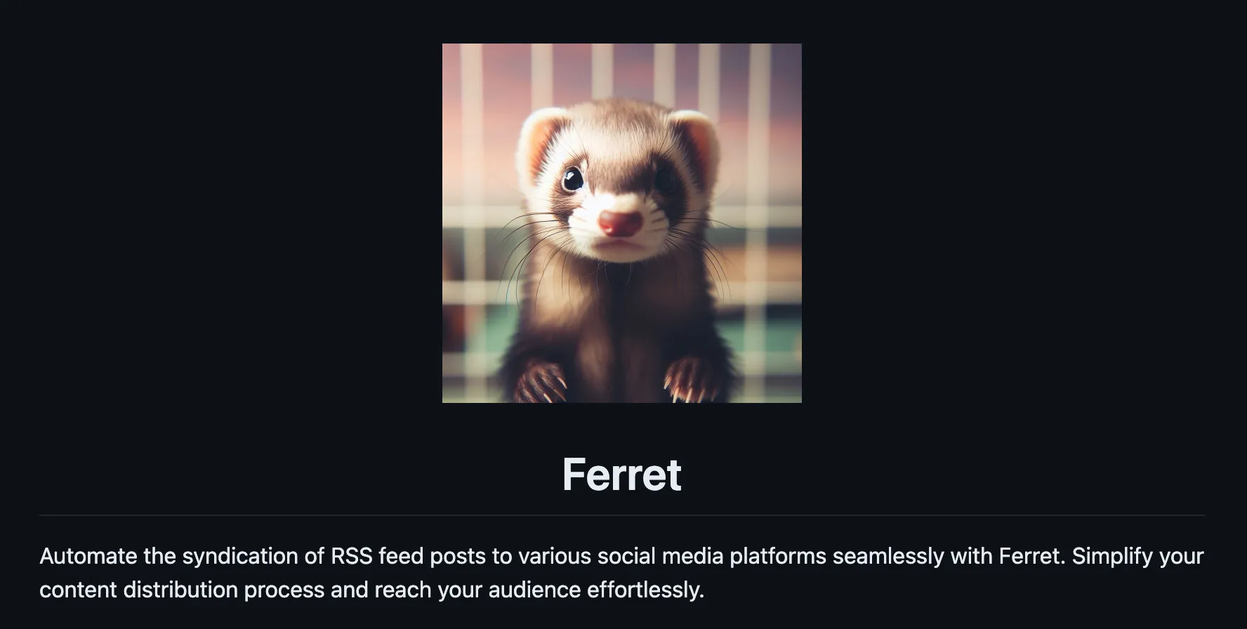 ferret