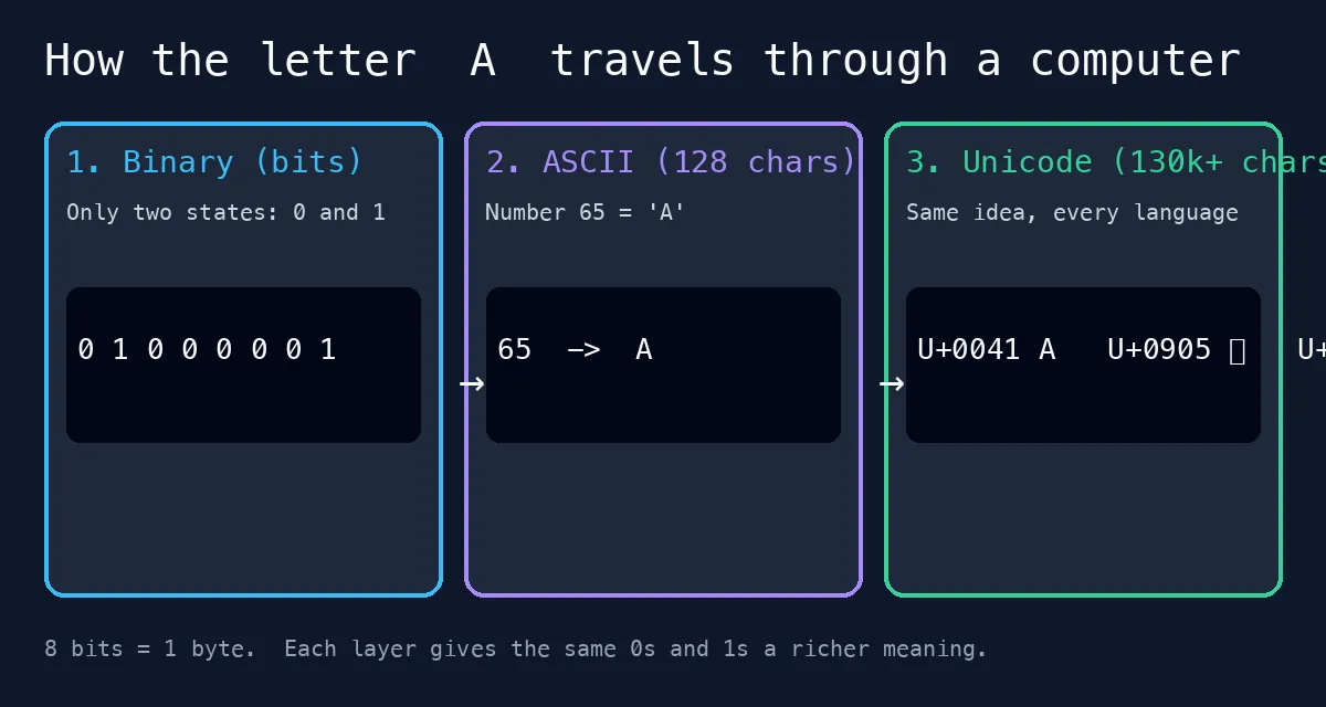 Diagram showing how the letter A travels through a computer in three layers: binary bits 01000001, the ASCII code 65 that maps to A, and Unicode code points such as U+0041 that extend the same idea to every language and emoji