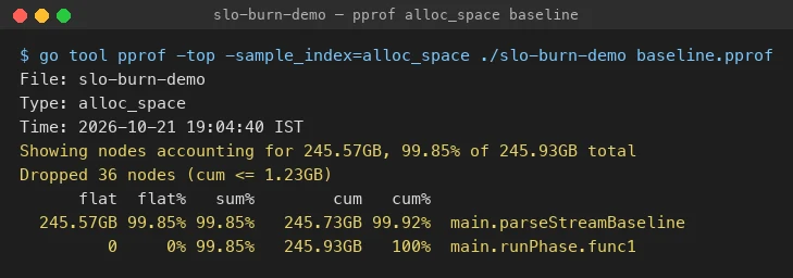 pprof alloc_space output for the baseline parser showing main.parseStreamBaseline accounting for 245.57 GB flat, 99.85% of the 245.93 GB total allocated in 25 seconds
